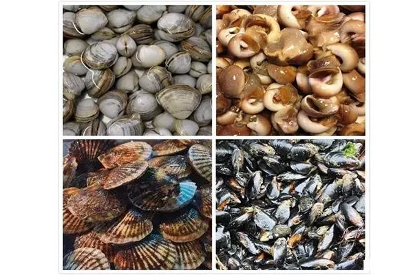 营口鲅鱼圈海鲜市场哪个好 附开海后海鲜价格