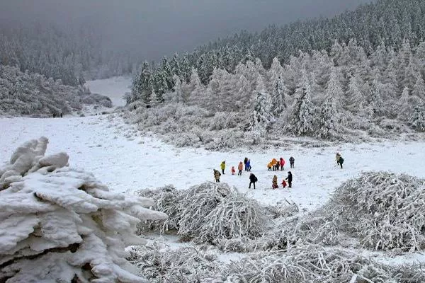 2021重庆仙女山看雪最佳时间 仙女山看雪攻略