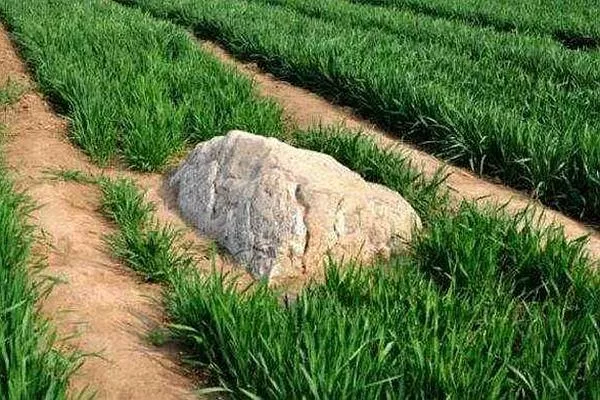 世界上最矮的山在哪里 它就是我们中国的静山 世界上最矮的山在哪里 它就是我们中国的静山