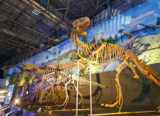 12月1日西峡恐龙遗迹园正式恢复对外开放 12月1日西峡恐龙遗迹园正式恢复对外开放