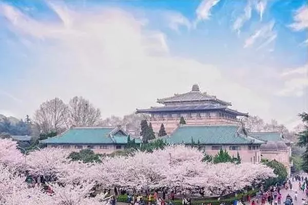 观赏武汉大学樱花的最佳时间是在几月份 三月份最合适不过了
