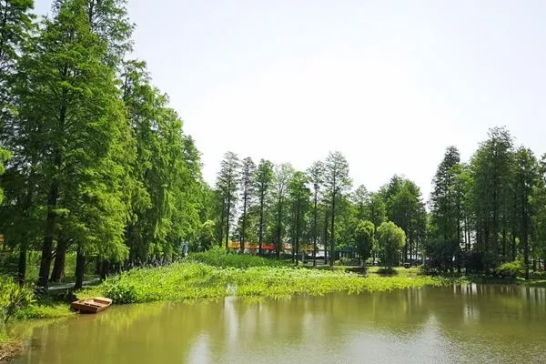 武汉东湖绿道游玩攻略 武汉本地人的这份心得值得收藏 武汉东湖绿道游玩攻略 武汉本地人的这份心得值得收藏