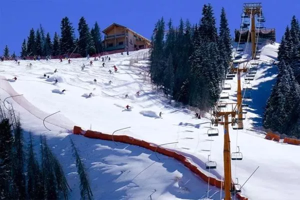 2021-2022将军山滑雪场开放时间 附滑雪场价格表