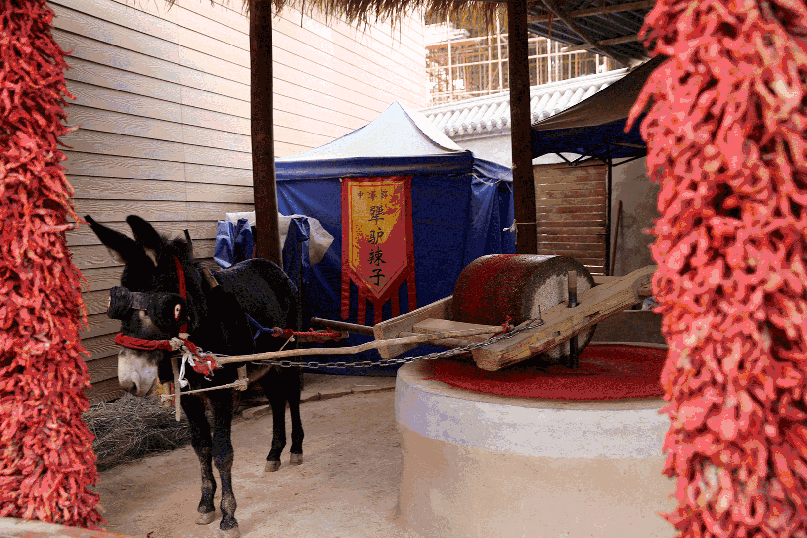 1632_1088gif 动态图 动图