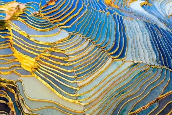 哈尼梯田最佳旅游时间 哈尼梯田最佳观景点 哈尼梯田最佳旅游时间 哈尼梯田最佳观景点