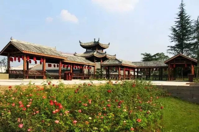 四川阆中巴巴寺无根树旅游攻略(四川阆中巴巴寺无根树景点游玩攻略