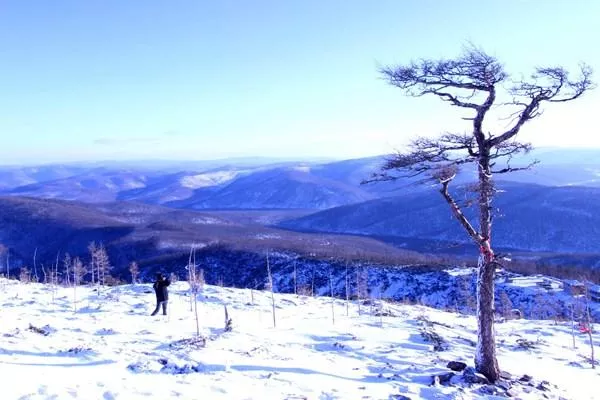 大兴安岭冬季<a href='https://www.qqx.com/' target=_blank>旅游攻略</a> 这6条经典路线玩转冬天的大兴安岭