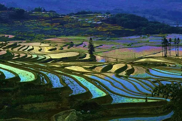 哈尼梯田最佳旅游时间 哈尼梯田最佳观景点 哈尼梯田最佳旅游时间 哈尼梯田最佳观景点