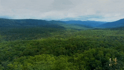 缪希雍墓旅游攻略_缪希雍墓必玩景点 - 全球行