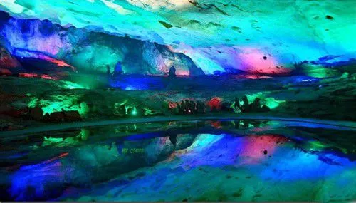 拒食猫狗 探访狗肉节之外的真实玉林