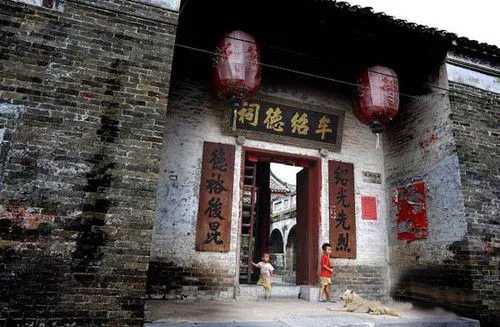 拒食猫狗 探访狗肉节之外的真实玉林