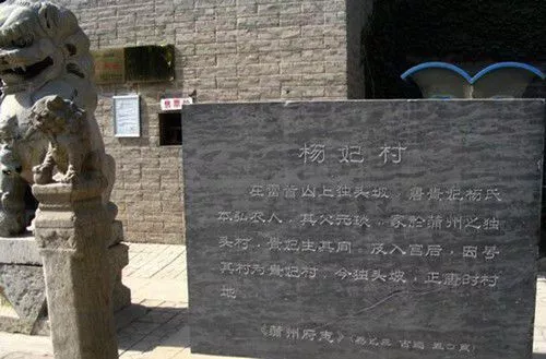 拒食猫狗 探访狗肉节之外的真实玉林