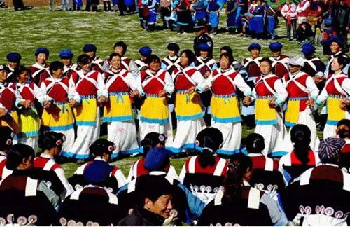 拒食猫狗 探访狗肉节之外的真实玉林