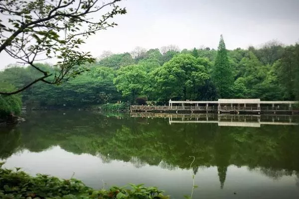 湖南省森林植物园游玩攻略 附景点介绍