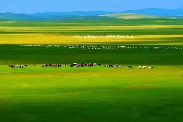 呼伦贝尔大草原自驾游最佳路线推荐