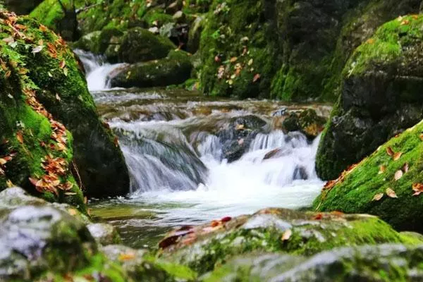 2022牛背梁漂流门票价格及开放时间 附<a href='/youwangonglue/' target=_blank>游玩攻略</a> 2022牛背梁漂流门票价格及开放时间 附游玩攻略