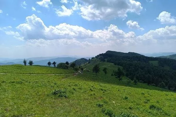 <a href='/wuyue/' target=_blank>五岳</a>寨和驼梁哪个好玩 五岳寨和驼梁哪个好玩