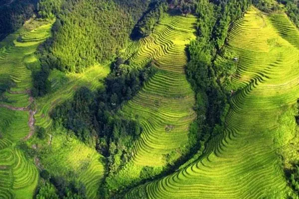 桂林龙脊梯田几月份去最好 2022最佳旅游时间