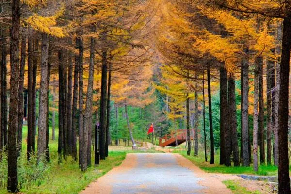 六<a href='/panshan/' target=_blank>盘山</a>国家<a href='/senlingongyuan/' target=_blank>森林公园</a><a href='https://www.qqx.com/' target=_blank>旅游攻略</a> 景点一日游攻略 六盘山国家森林公园<a href='/lvyougonglue/' target=_blank>旅游攻略</a> 景点一日游攻略