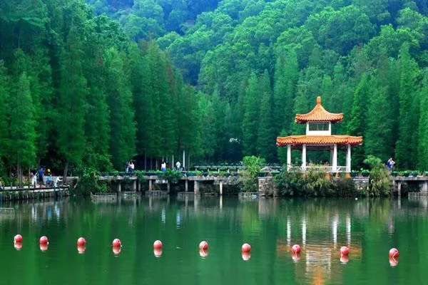 深圳仙湖植物园一日游攻略 附最佳游玩路线