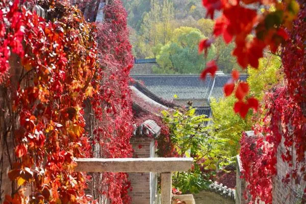 2022北京观赏红叶最佳地方有哪些